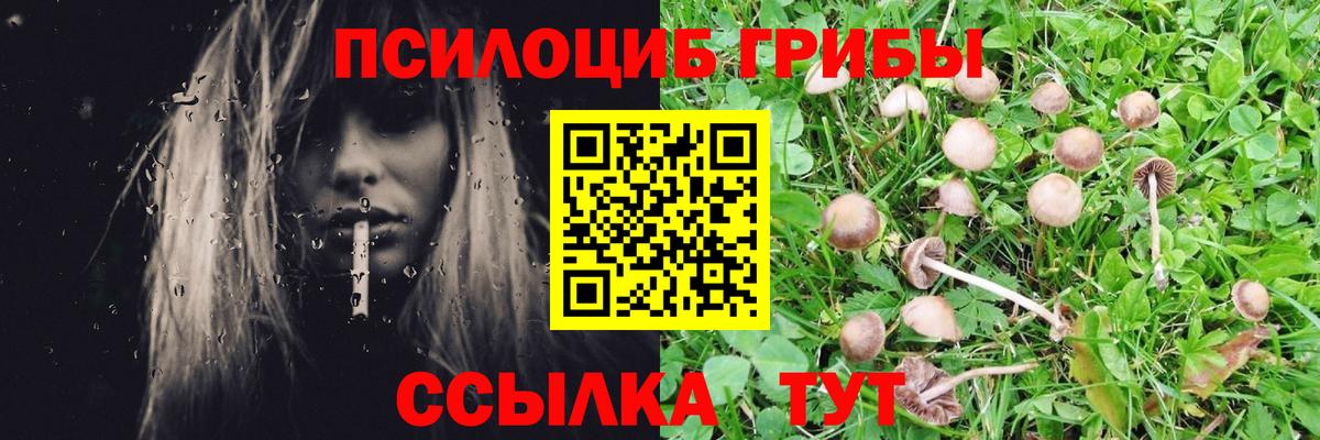 Галлюциногенные грибы мицелий Азнакаево